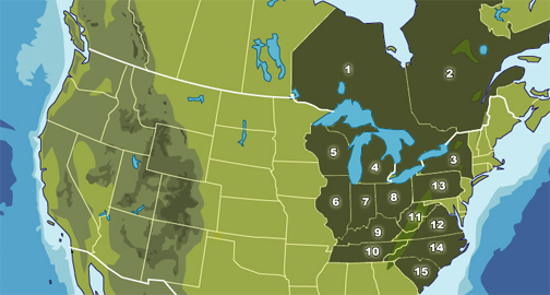 Challenger's regional transportation service area